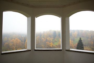 Image showing Autumn forest and fog.