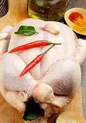 Image showing Raw Chicken Ready to Roast