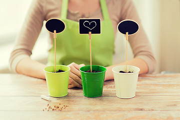 Image showing close up of woman over pots with soil and signs