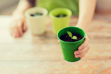 Image showing close up of woman hand holding pot with sprout