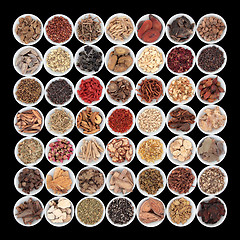 Image showing Large Chinese Herbal Medicine Collection