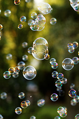 Image showing Soap bubbles