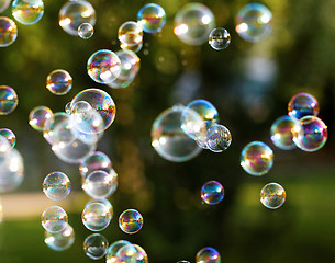 Image showing Soap bubbles