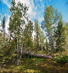 Image showing on the mountain in autumn day