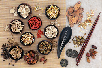 Image showing Acupuncture Traditional Chinese Medicine