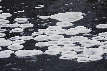 Image showing pancake ice