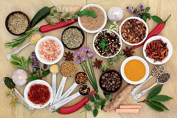 Image showing Spice and Herb Collection