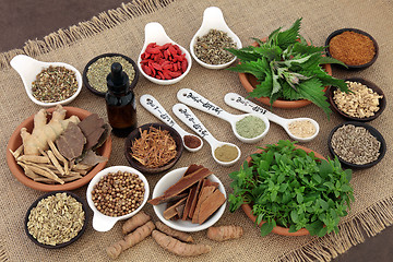 Image showing Herbs for Mens Health