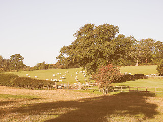 Image showing View of Tanworth in Arden vintage