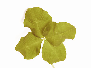 Image showing Retro looking Four leaf shamrock