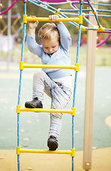 Image showing Cute little boy climbing on a jungle gym