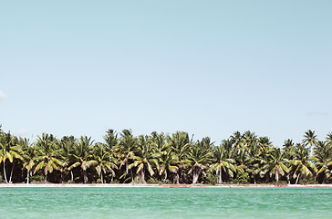 Image showing Summer scene with tropical beach and blue sea