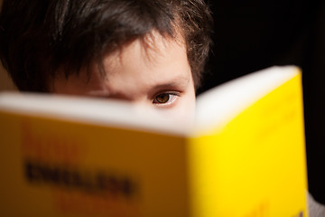 Image showing Young boy concentrating on reading a book