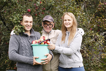 Image showing Autumn harvesting.