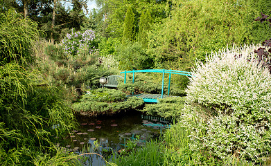 Image showing small green footbridge over a pond