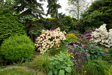 Image showing Beautiful spring garden design with rhododendron