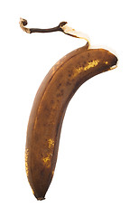 Image showing Over ripe banana, isolated