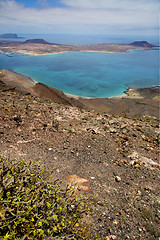 Image showing flower spain miramar   sky cloud beach    in lanzarote  