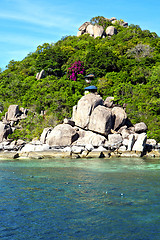 Image showing  kho tao bay abstract of a  water   south china sea