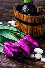 Image showing Bouquet of purple tulips