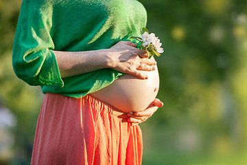 Image showing Bare Pregnant Belly with Flower