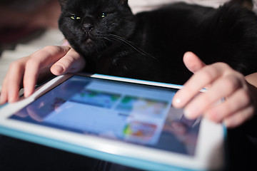 Image showing Woman using pad with cat on the lap