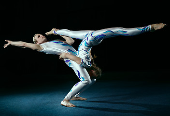 Image showing Circus artists perform different tricks.