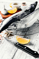 Image showing Carcasses frozen mackerel