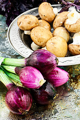 Image showing Onions and mushrooms