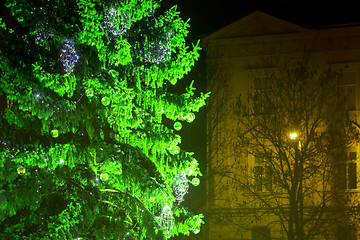 Image showing Green Christmas tree at Advent