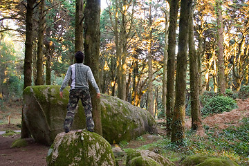 Image showing Man In The Jungle