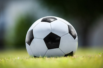 Image showing Soccer ball on green lawn