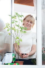 Image showing Lady adding soil in pot