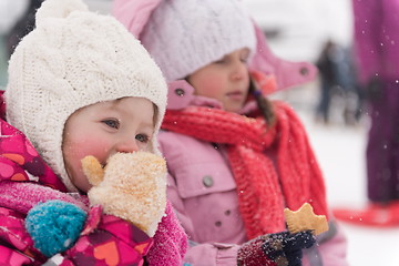 Image showing portrait of two little grils sitting together on sledges