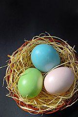 Image showing Easter eggs in the nest