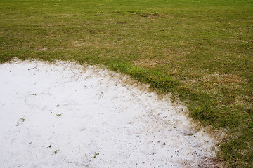 Image showing Half Circle Grass