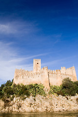 Image showing Castle in Blue