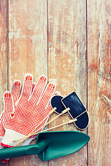 Image showing close up of trowel, nameplates and garden gloves