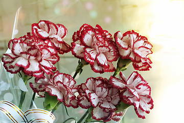 Image showing A bouquet of red and white carnations