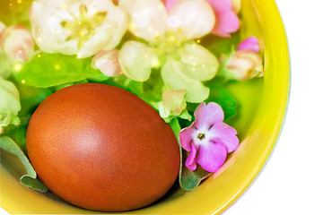 Image showing Easter egg, violets and Apple blossoms.