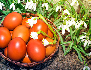 Image showing Easter eggs in a wicker basket and snowdrops.