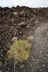 Image showing stone volcanes lanzarote  volcanic timanfaya  sky  hill  