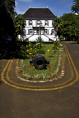 Image showing zanzibar mahebourg naval museum flower   