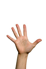 Image showing Open palm hand