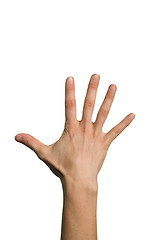 Image showing Open back hand