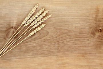 Image showing Wheat on Sycamore