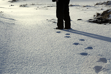 Image showing Footsteps in the snow