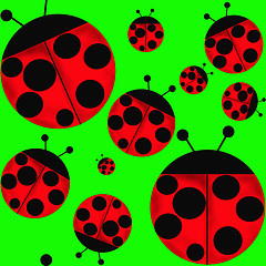 Image showing ladybugs