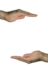 Image showing Showing hand