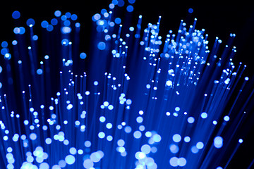 Image showing fiber optics close-up